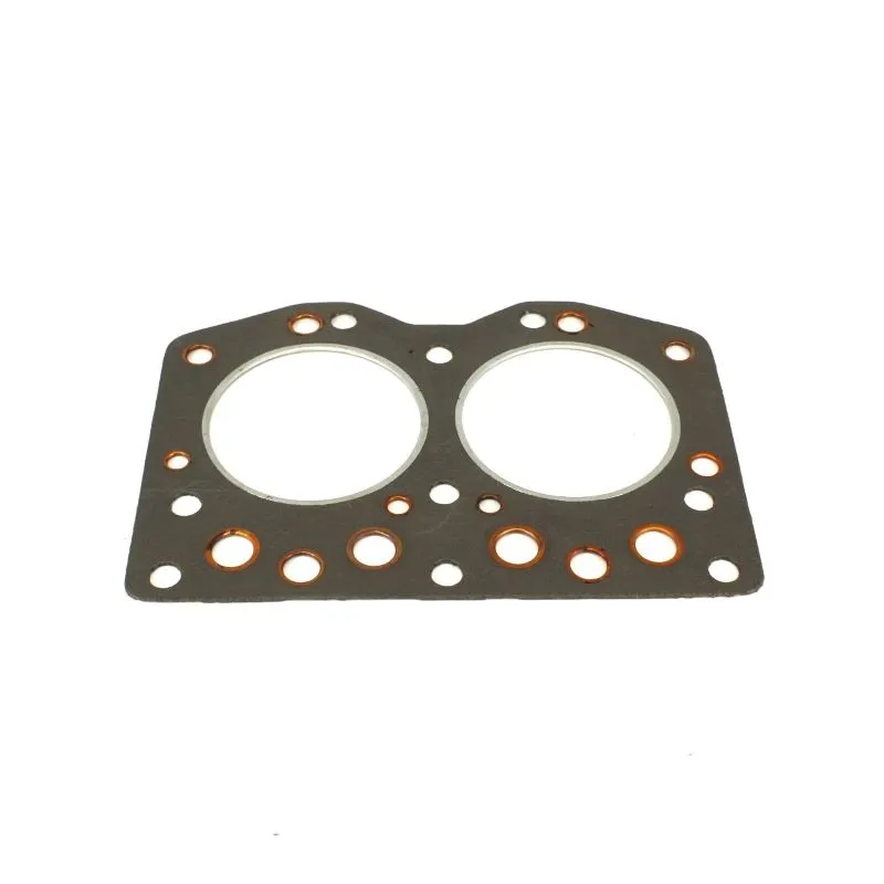 Guarnizione testa Iseki TS motori Isuzu