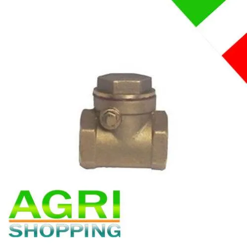 Valvola di Ritegno a Clapet 3/4″