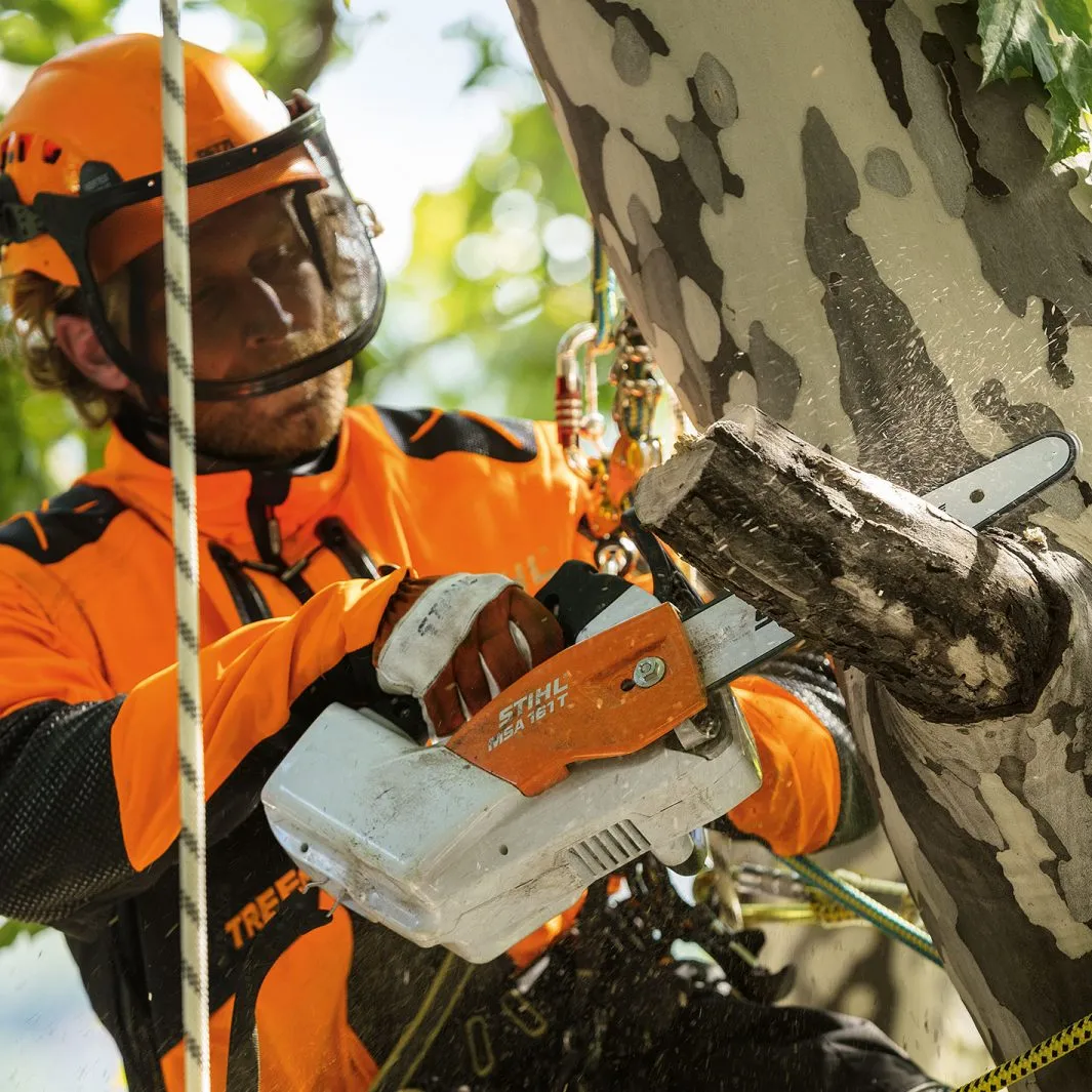 Motosega a batteria Stihl MSA 161 - immagine 2