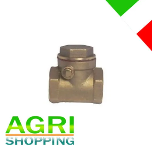 Valvola di Ritegno a Clapet 1″ 1/4