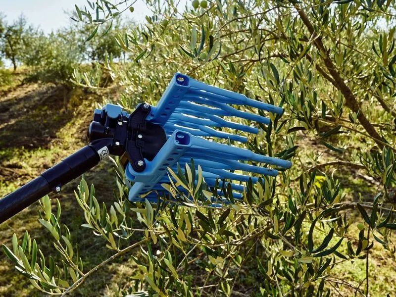 Testa raccolta pneumatico CAMPAGNOLA TUONO EVO - immagine 2