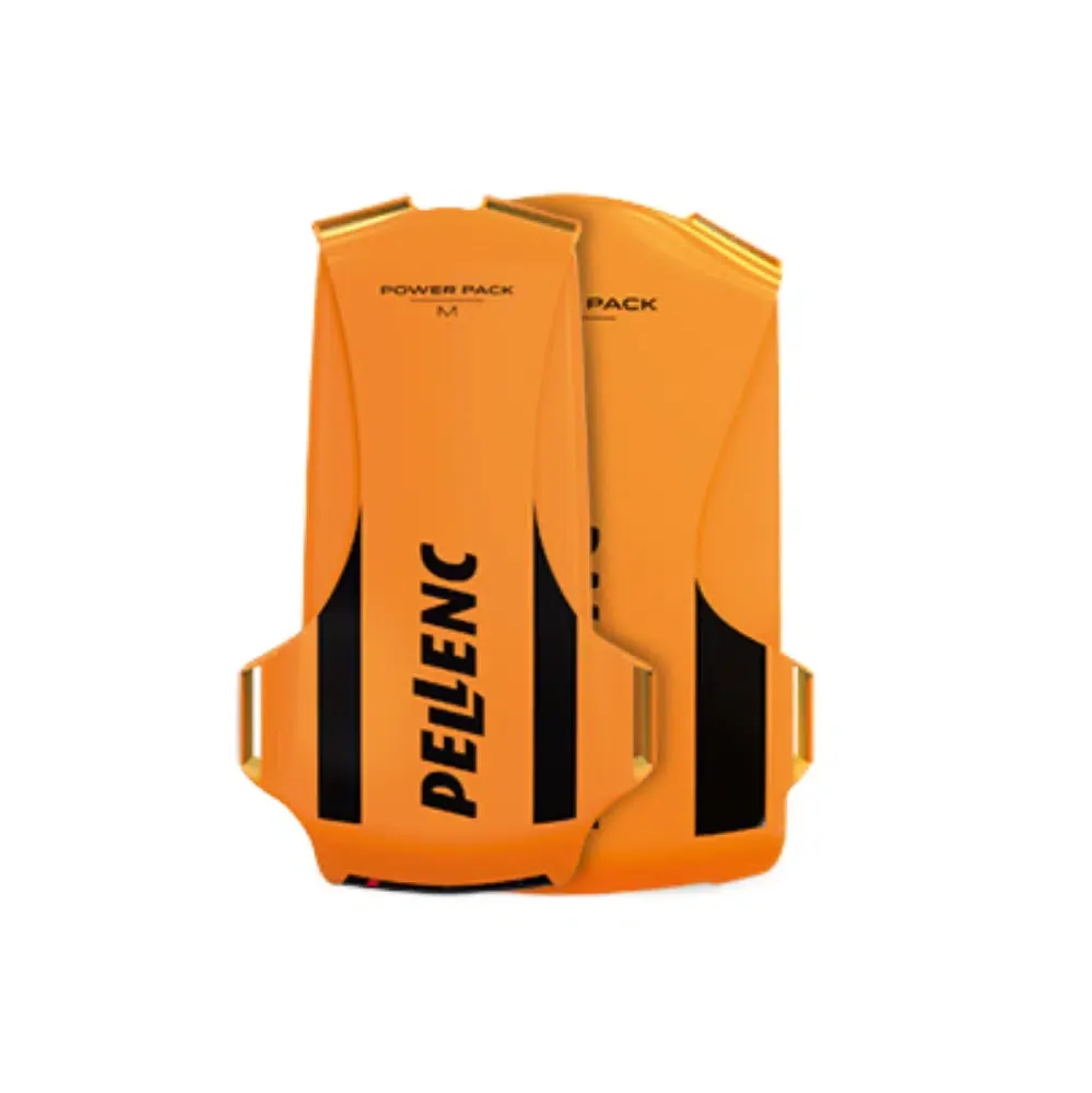 Batteria Pellenc al Litio PowerPack