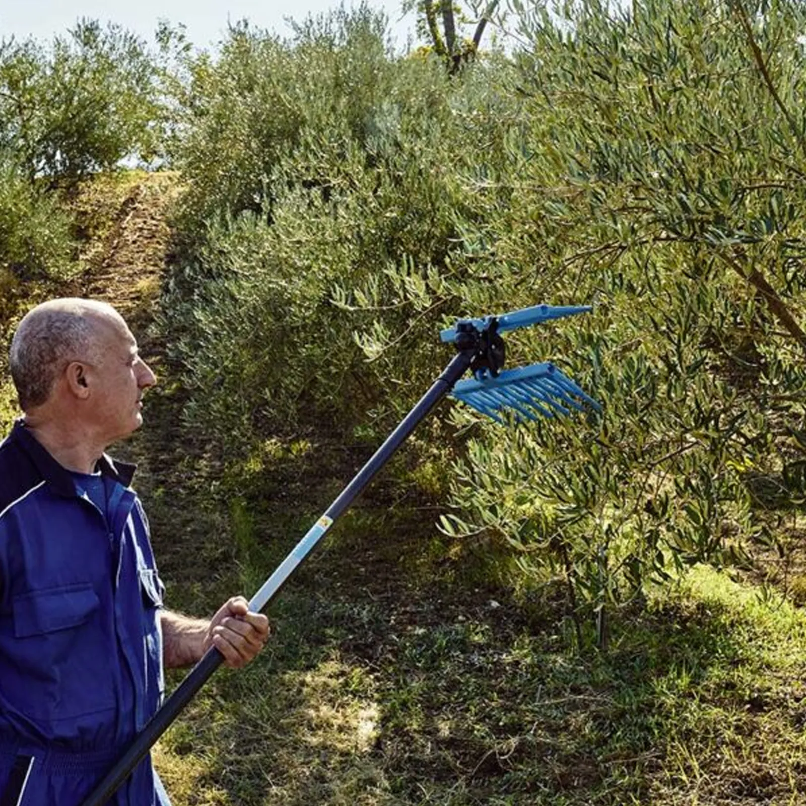 Abbacchiatore Pneumatico SENZA ASTA per Raccolta Olive CAMPAGNOLA Scuotitore Scuotiolive DIABLO - immagine 4