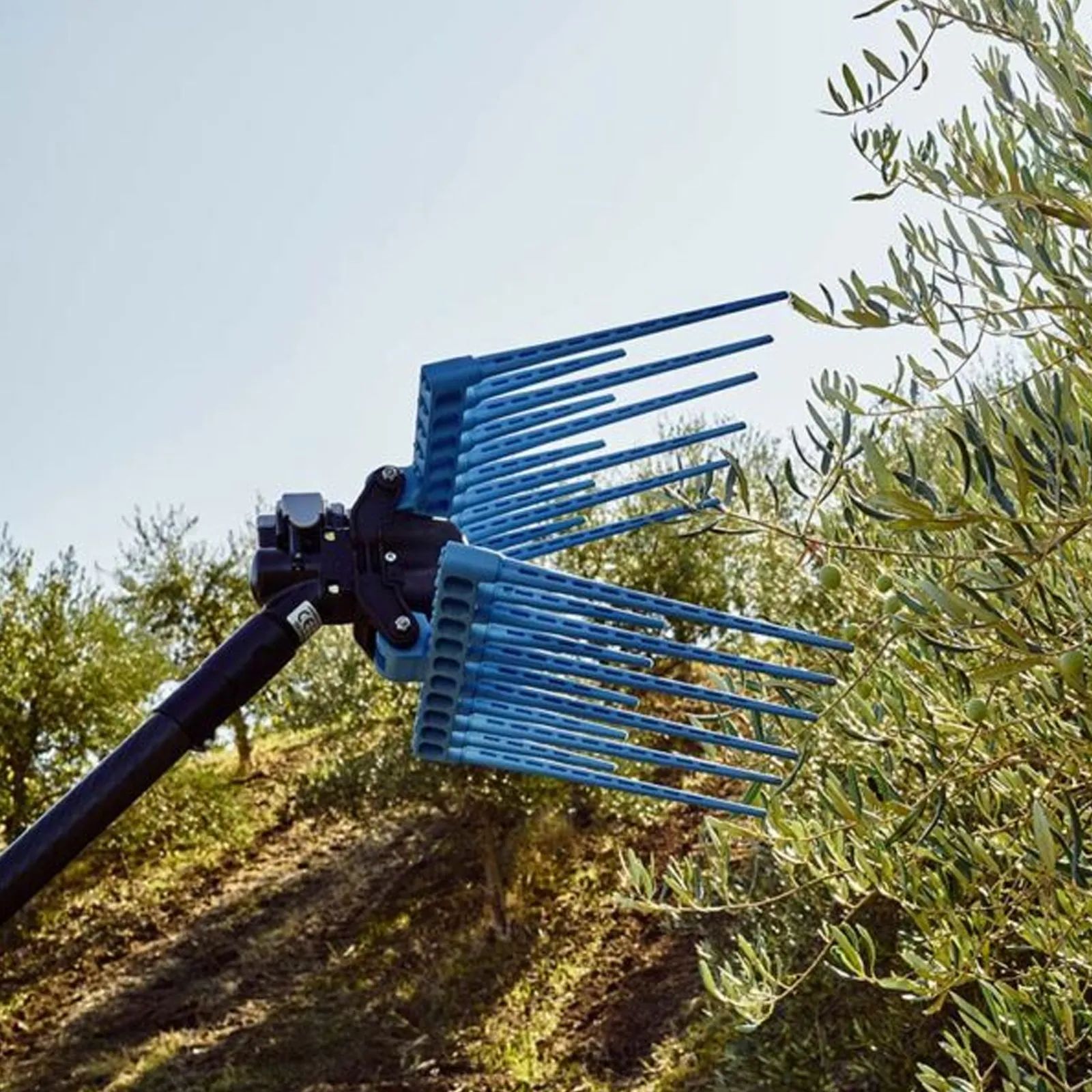 Abbacchiatore Pneumatico SENZA ASTA per Raccolta Olive CAMPAGNOLA Scuotitore Scuotiolive DIABLO - immagine 3