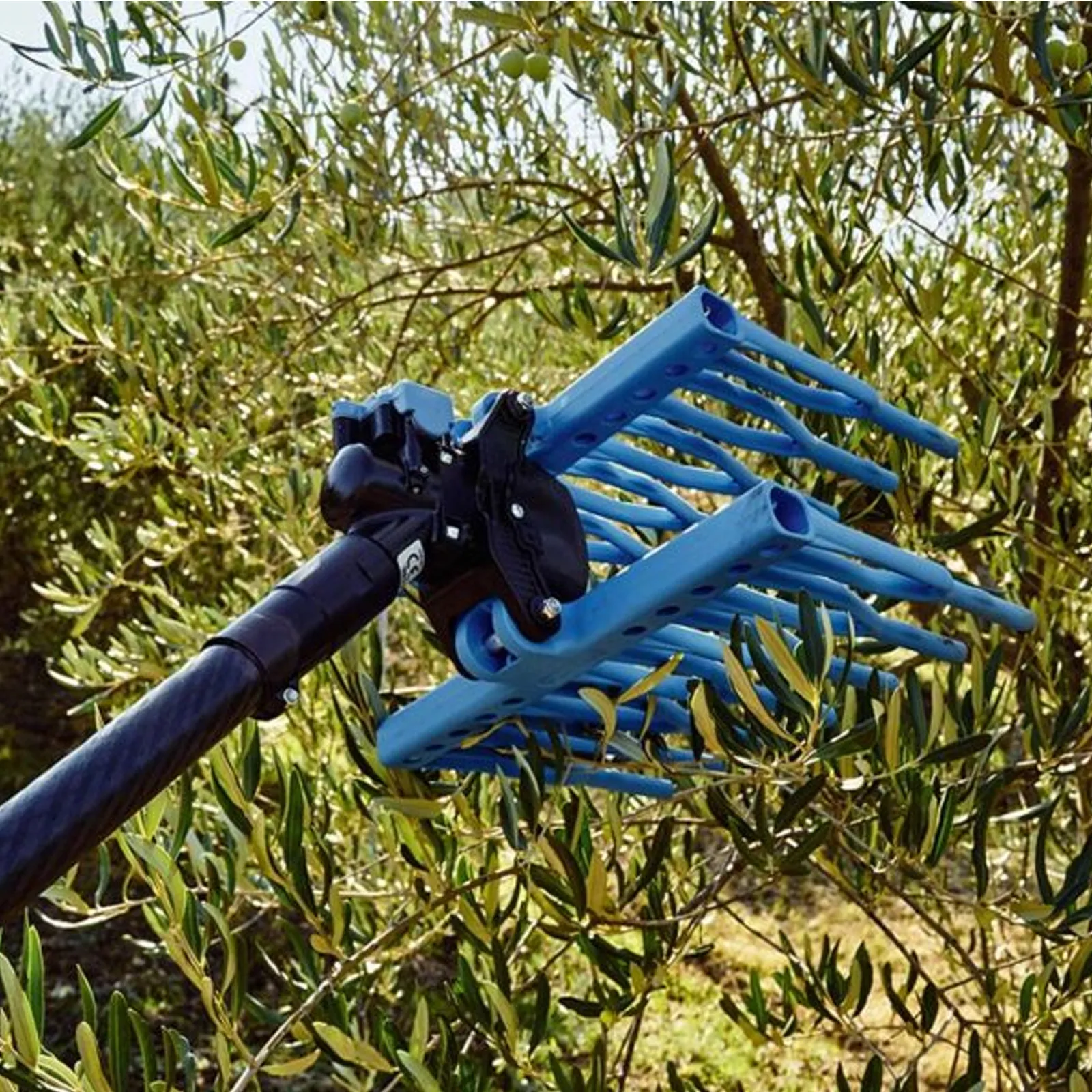 Abbacchiatore Pneumatico SENZA ASTA per Raccolta Olive CAMPAGNOLA Scuotitore Scuotiolive TUONO EVO - immagine 4