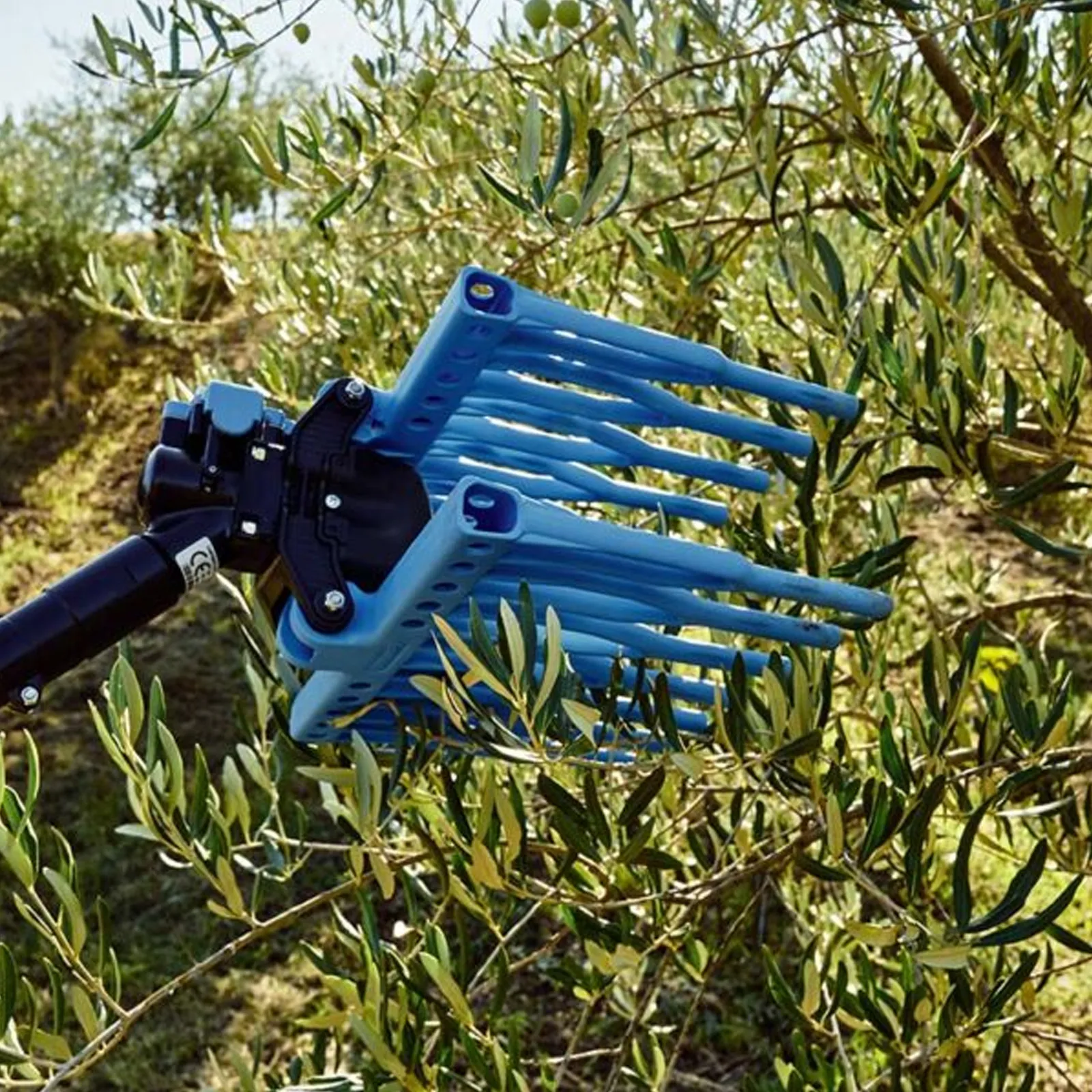 Abbacchiatore Pneumatico SENZA ASTA per Raccolta Olive CAMPAGNOLA Scuotitore Scuotiolive TUONO EVO - immagine 3