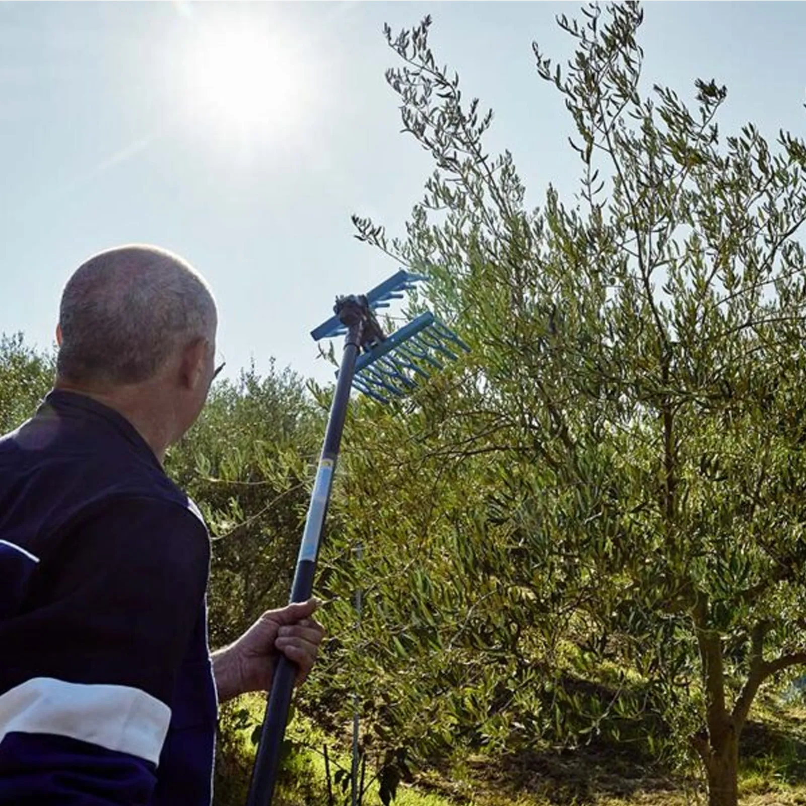 Abbacchiatore Pneumatico SENZA ASTA per Raccolta Olive CAMPAGNOLA Scuotitore Scuotiolive TUONO EVO - immagine 5
