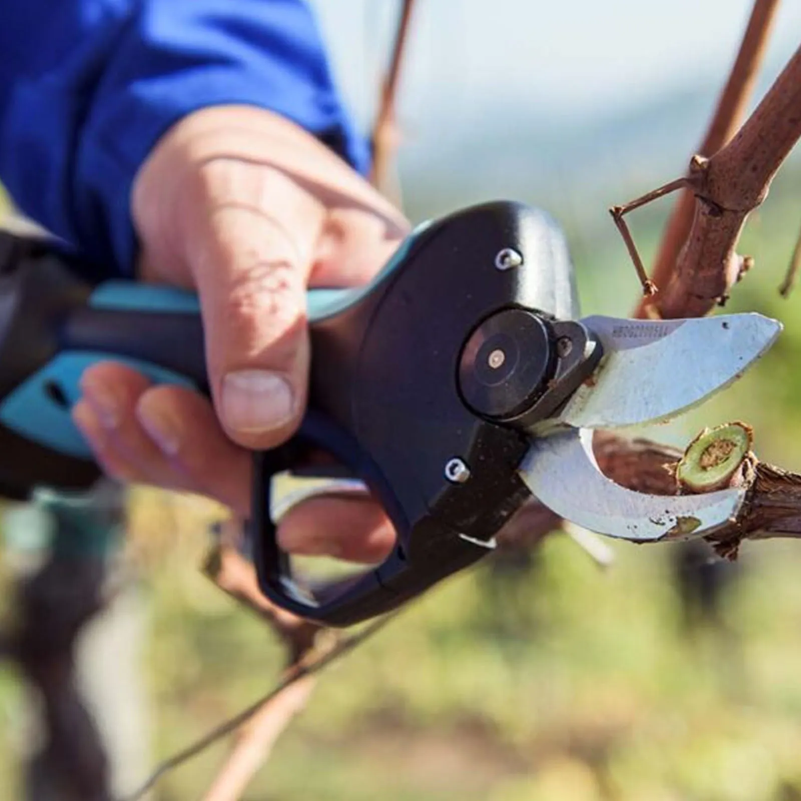 Cesoia da Potatura a Batteria 14,4V CAMPAGNOLA Kit Forbice per Pota Taglio 32mm STARK M - immagine 5