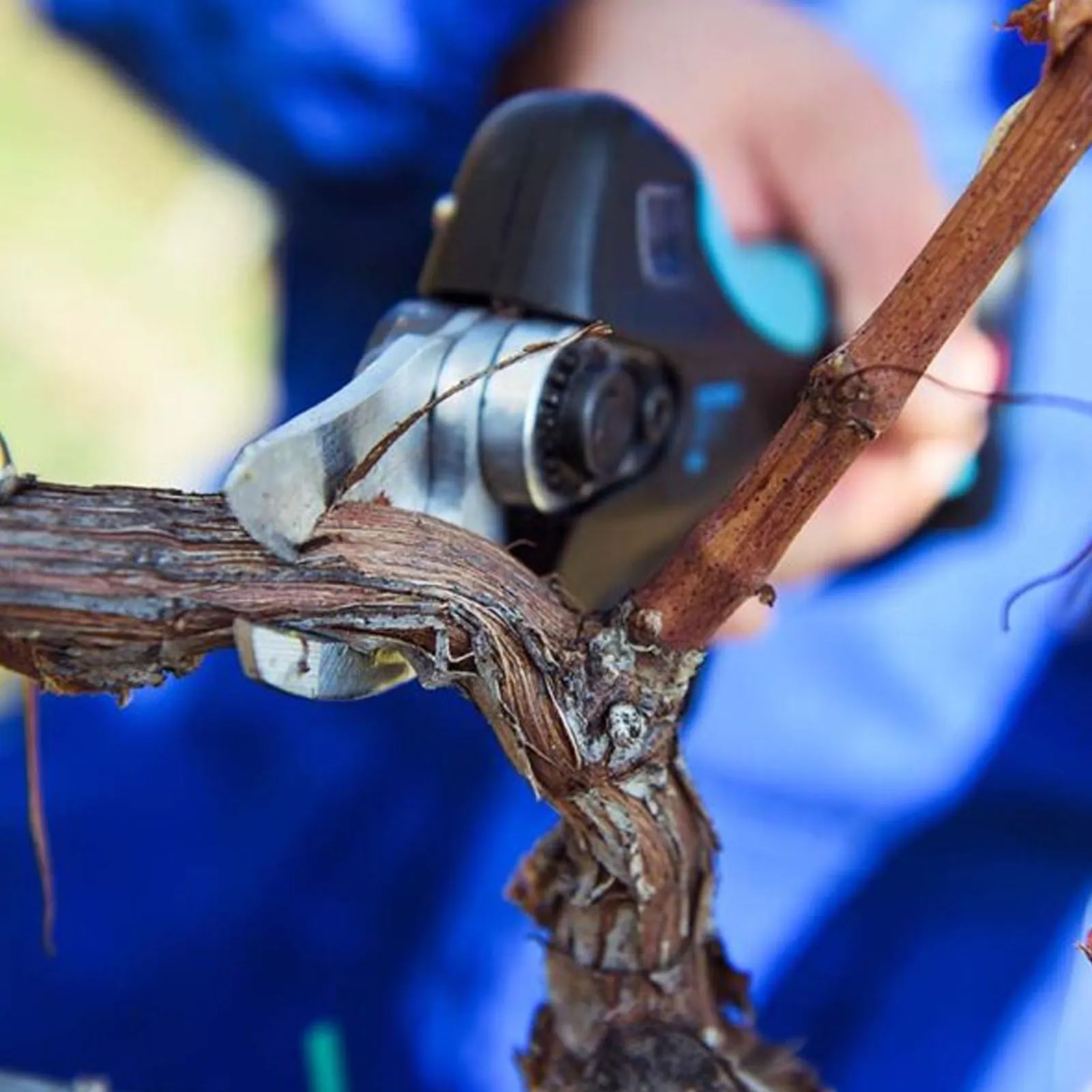 Cesoia da Potatura a Batteria 14,4V CAMPAGNOLA Kit Forbice per Pota Taglio 32mm STARK M - immagine 6