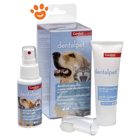 Candioli Dog & Cat Dentalpet Kit