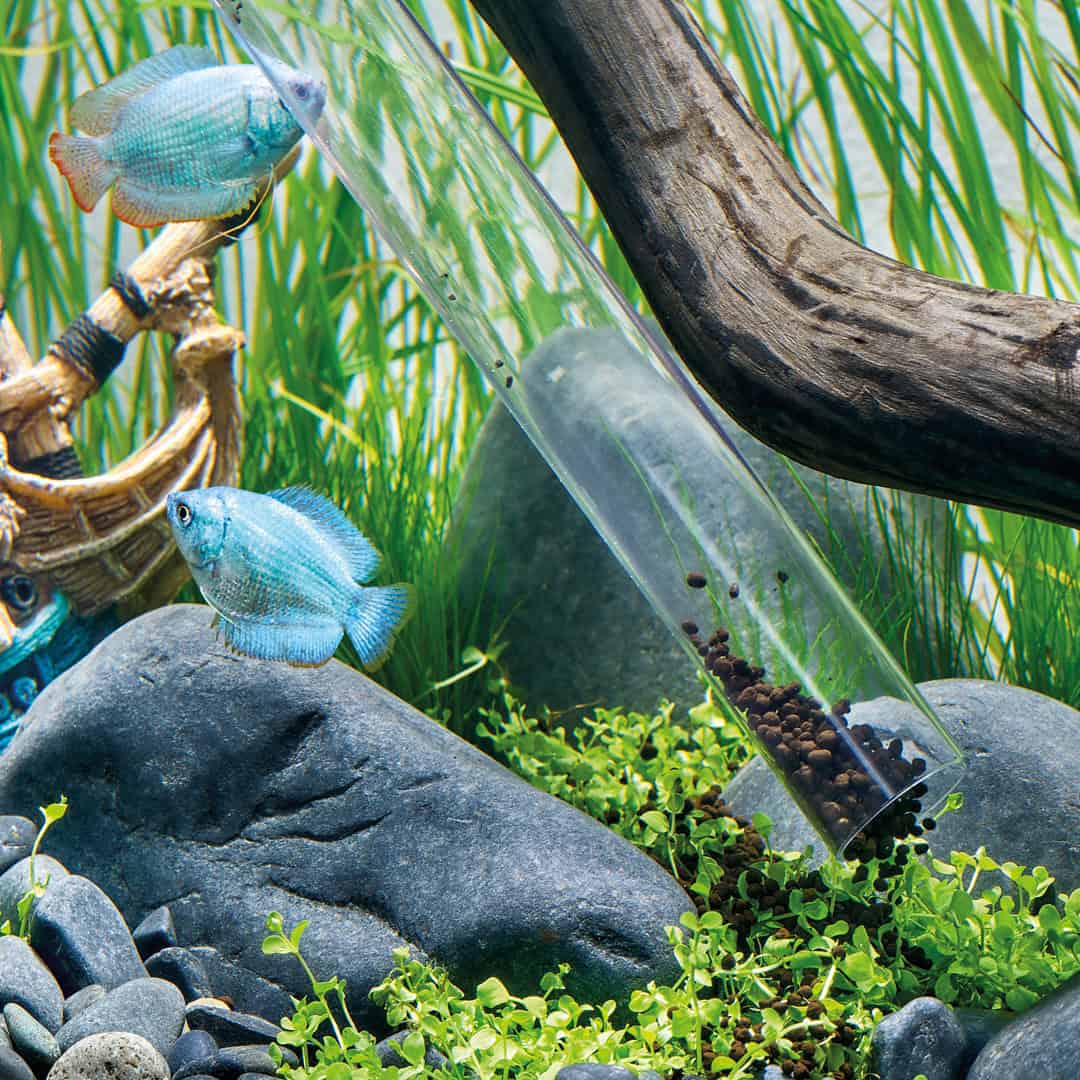 Oase Eden PDG 60 Pulitore Ghiaia - immagine 5