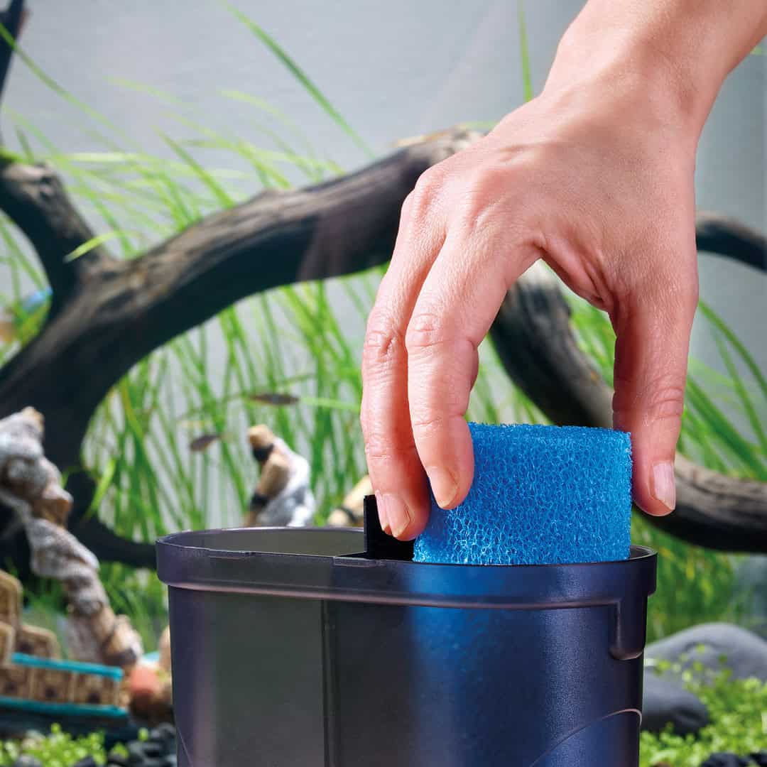 Oase Eden PDG 60 Pulitore Ghiaia - immagine 3