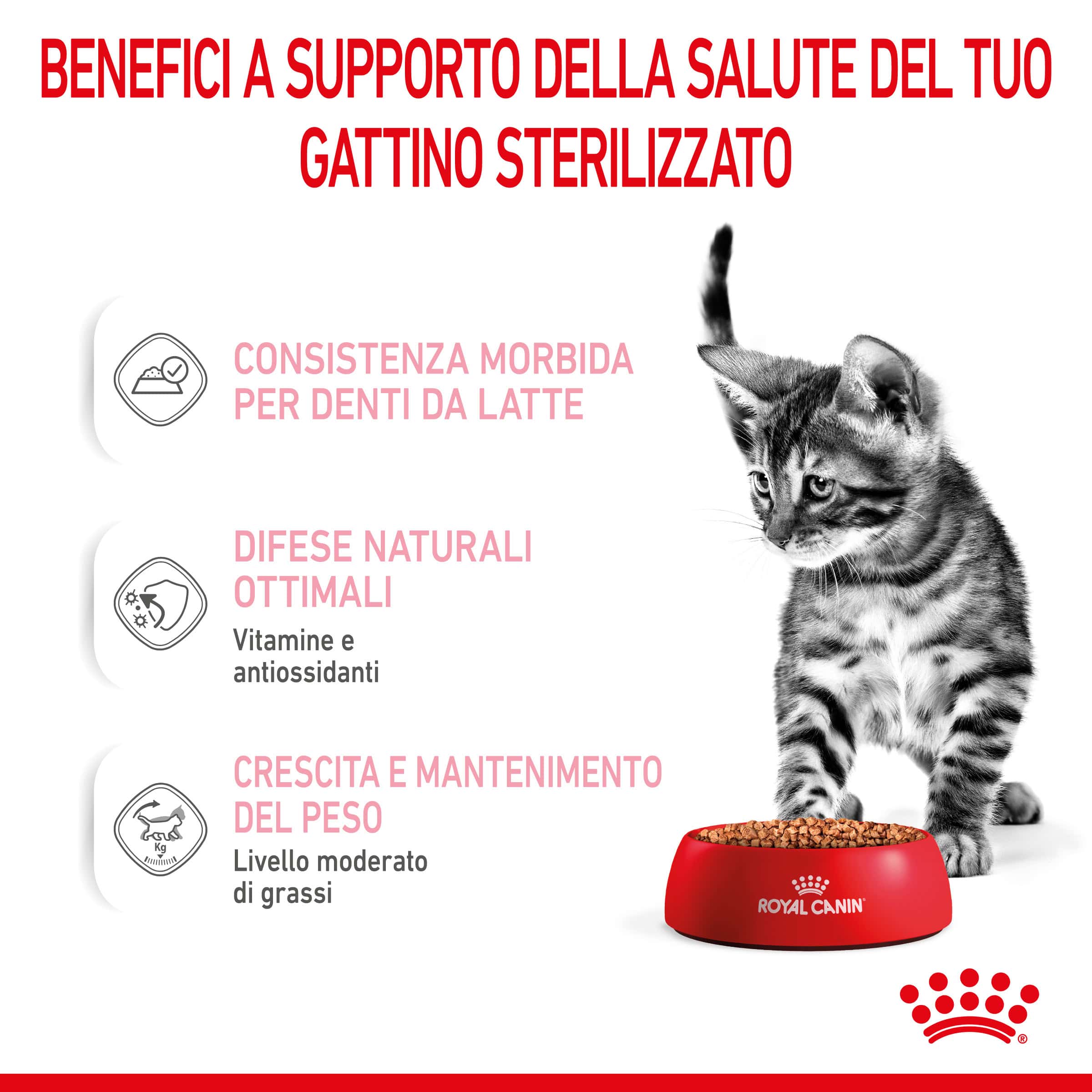 Royal Canin Cat Sterilised Kitten in Salsa - immagine 5