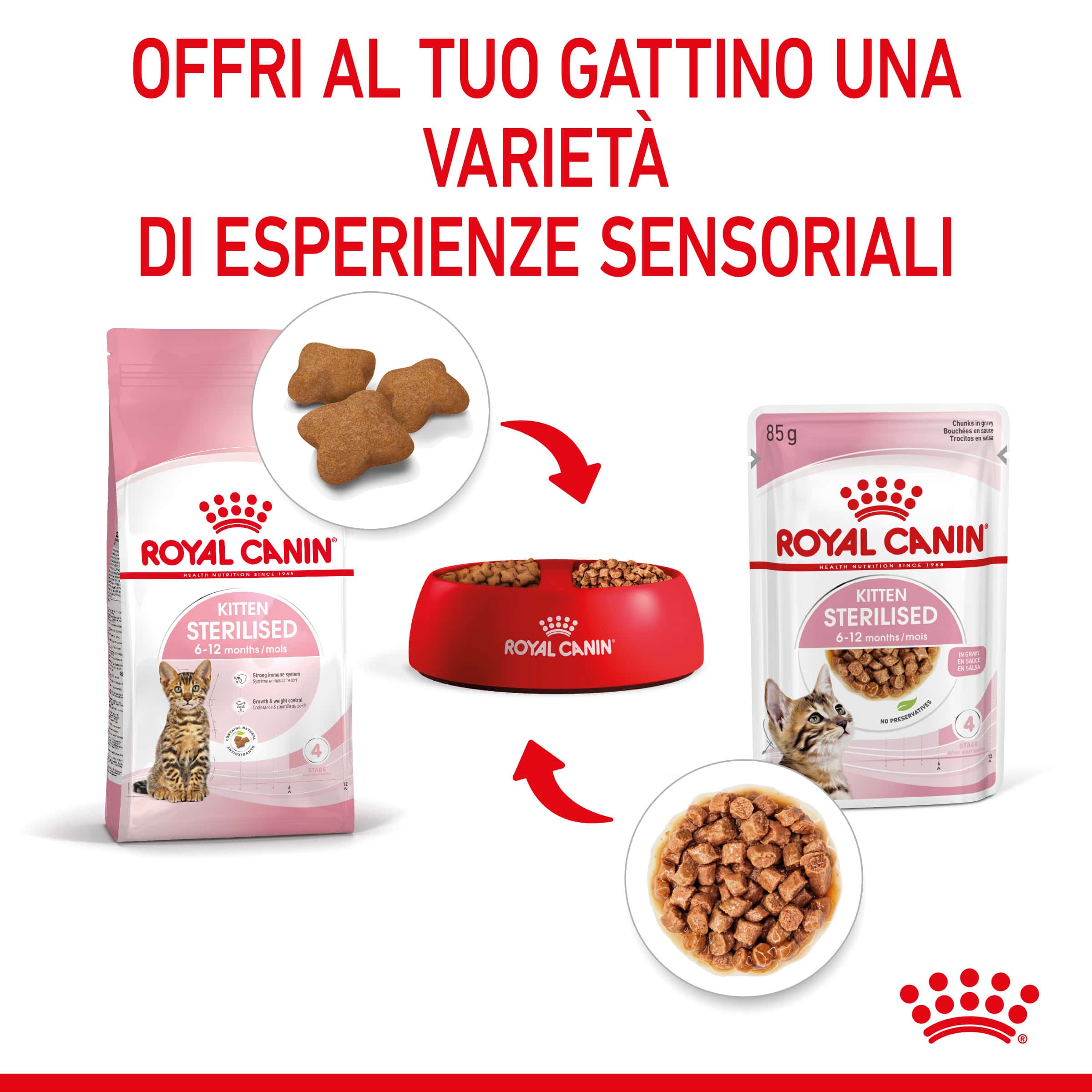 Royal Canin Cat Sterilised Kitten in Salsa - immagine 6
