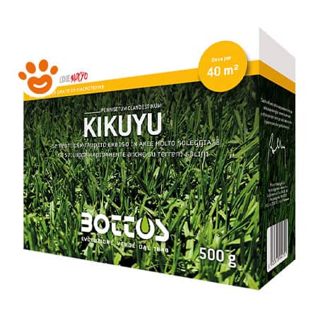 Bottos Kikuyu Grass Sementi per Prato