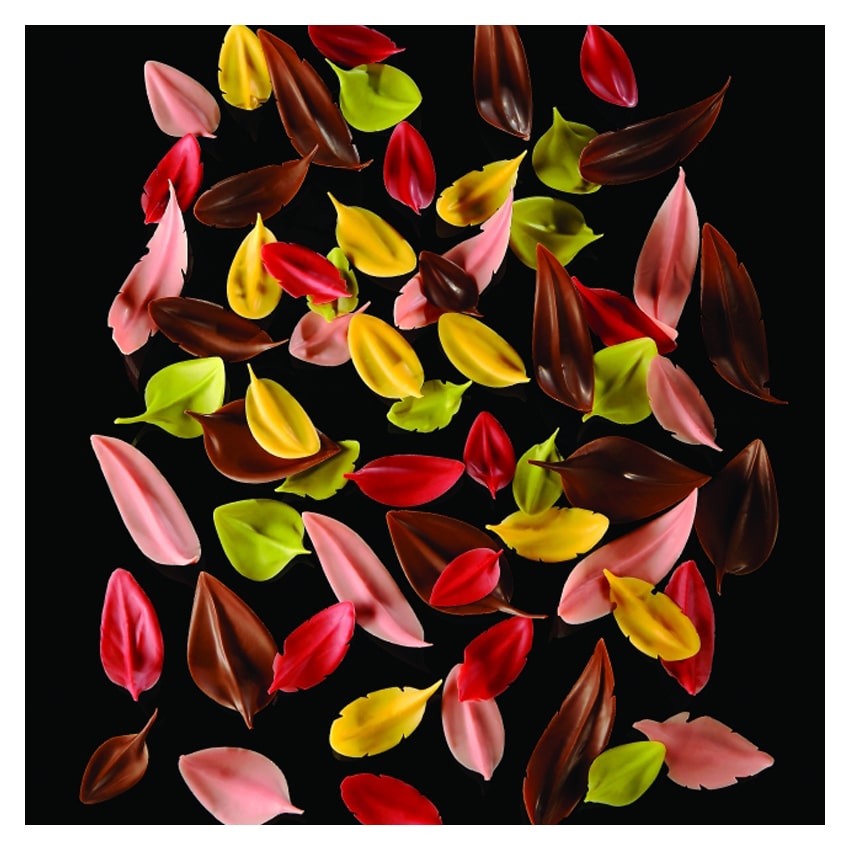 Flychoc CH8 coltello per foglie/piume cioccolato Pavoni